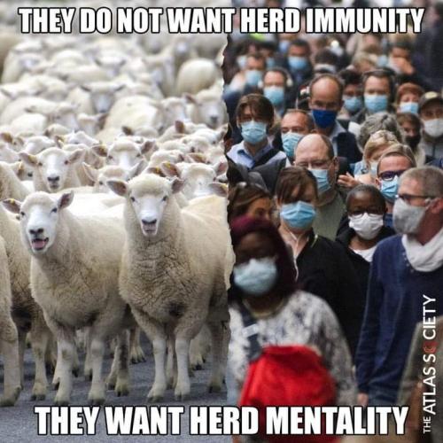 FB_IMG_1645831077920