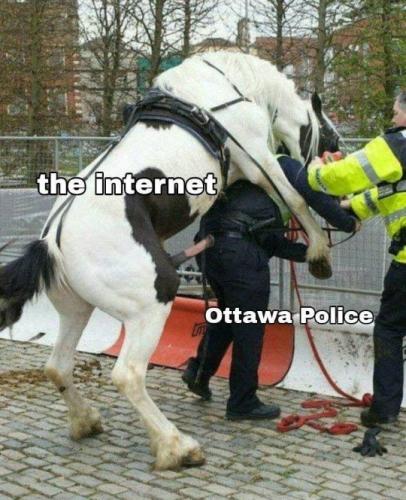 emergency act18