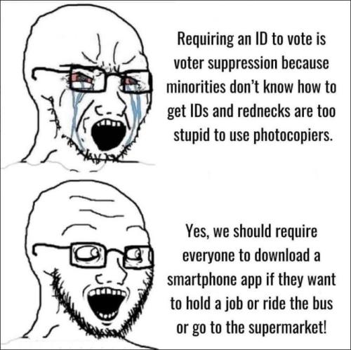 voterfraud288