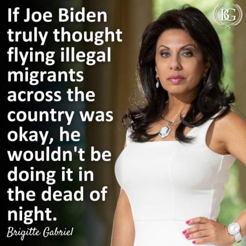 fly illegals me