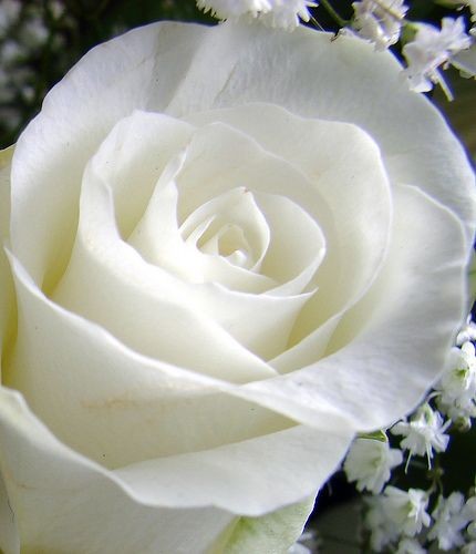 20:01:06 GMT-0600 (CST)