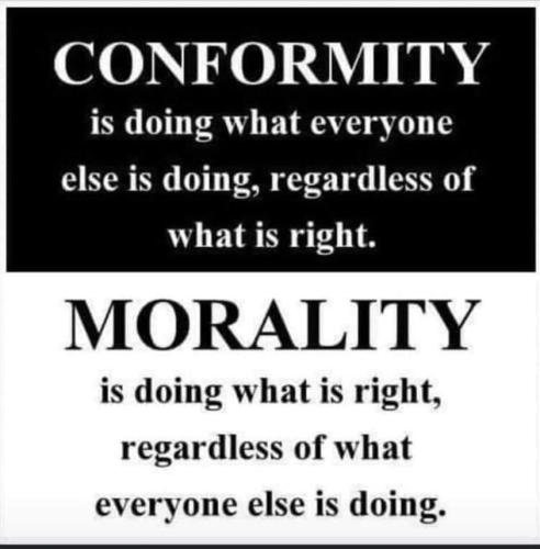 273628759_4444430942323367_1634956403400083125_n