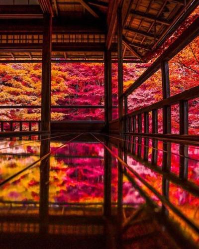 273499193_493701098763804_2289248785083271111_n