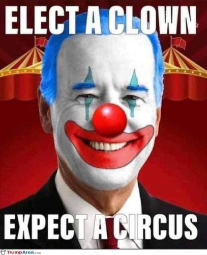 the-circus6701