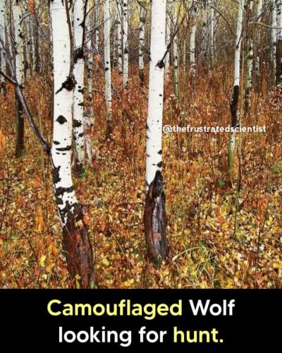 274593207_339214788131992_5212945738163129420_n