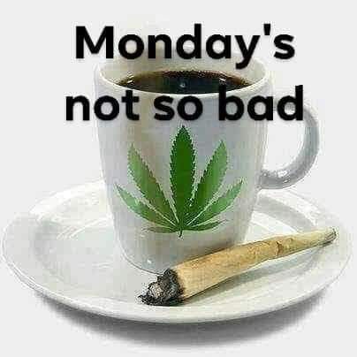 FB_IMG_1644835503448