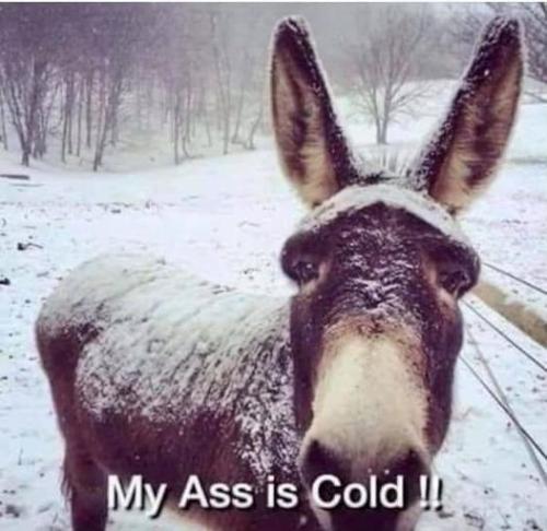 273772991_5421414797888787_1179486980013090796_n