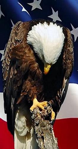 20:21:34 GMT-0600 (CST)