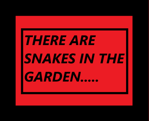 SNAKES IN THE GARDEN