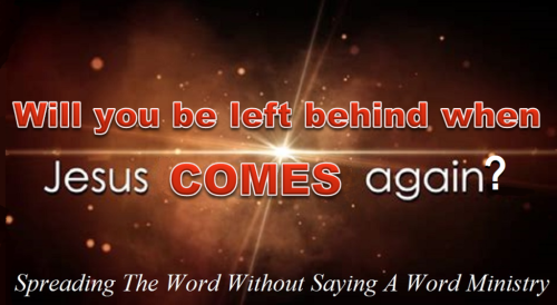 272615535_501262814685691_8009159770687407203_n