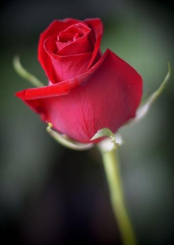 10:20:47 GMT-0600 (CST)