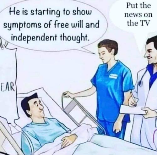 FB_IMG_1644545532057