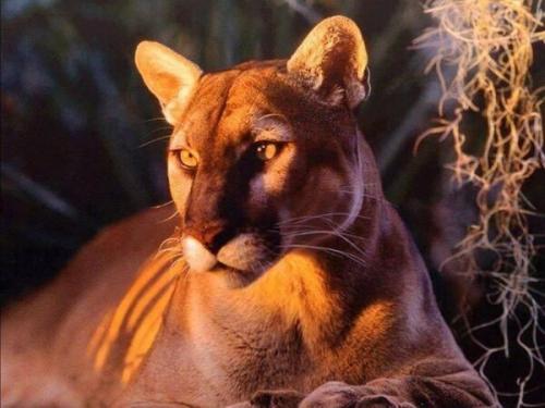 18:45:05 GMT-0600 (CST)