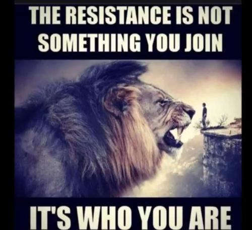 11:54:50 GMT-0700 (MST)