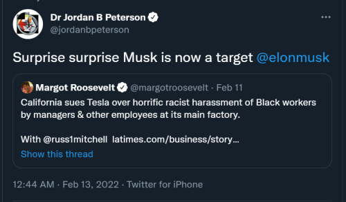 Elon Targeted 1