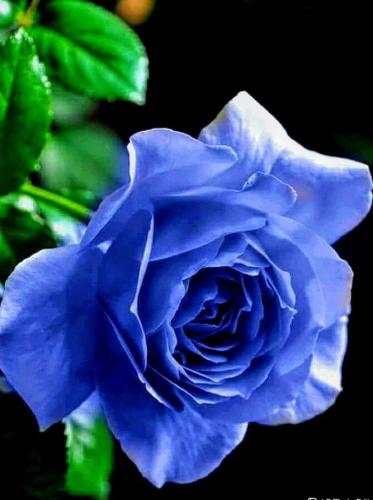 11:51:03 GMT-0600 (CST)