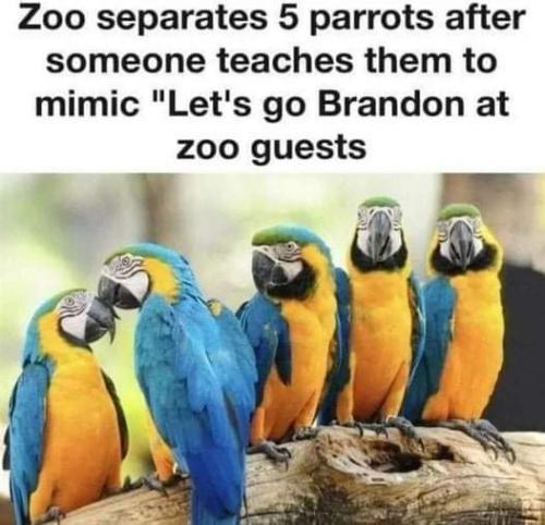 FB_IMG_1645679536395