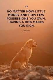 274595327_5022960917780266_298235163768280277_n