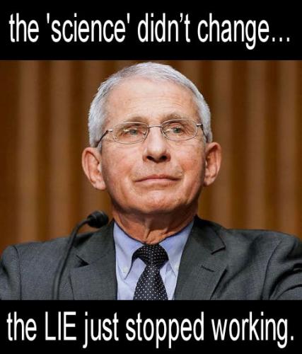 fauci199