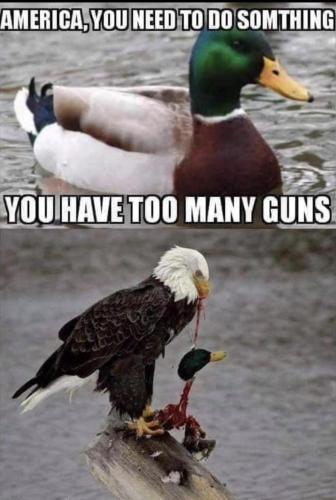 1DA464C8-0EBC-4347-A1BE-FE6081FB0B5F