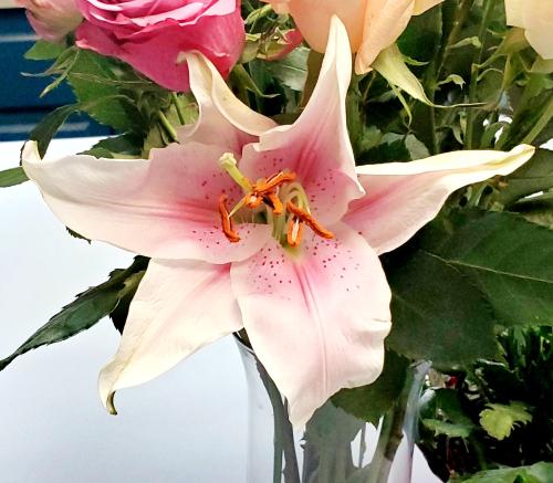 20220215_095521_remastered