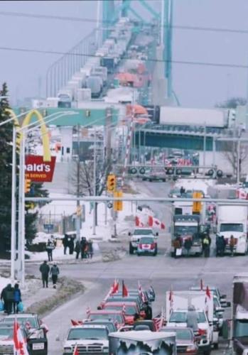 FB_IMG_1644401572444