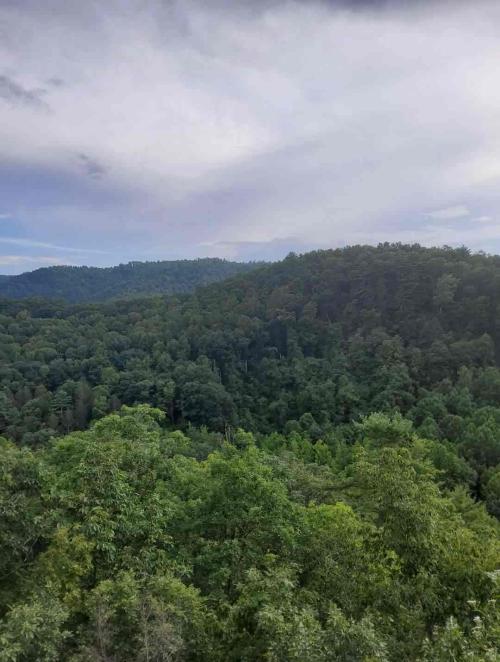 00:16:52 GMT-0500 (EST)