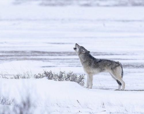 tumblr_6ef90bb530fb2d3f1e9e4d33dca396e4_6f37b5f3_540