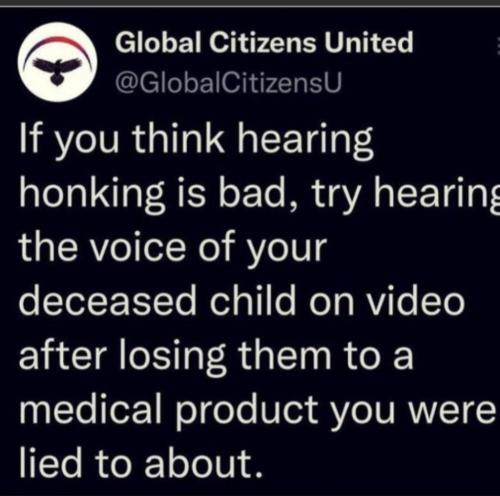 Screenshot_20220211-113039_MeWe