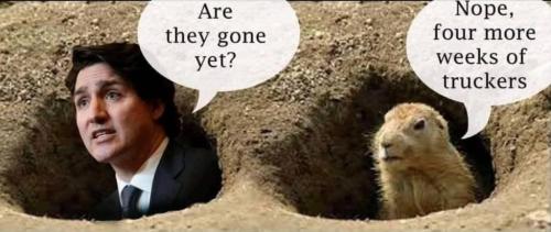 272870037_288200389965167_3484976778596103641_n