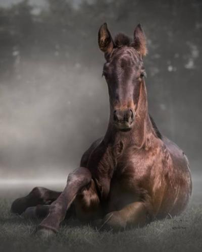 tumblr_8e38054e033312f466ac2181ec069a43_a83129e2_540