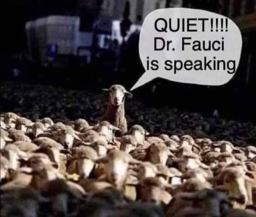 FB_IMG_1644940037452