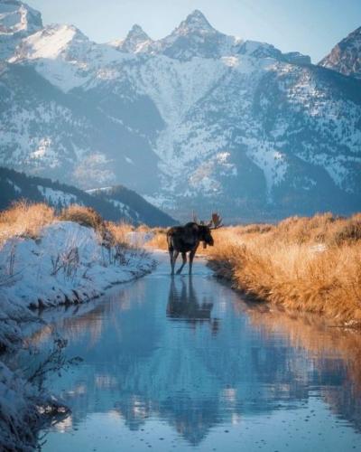 272846226_10165943778335057_6232015956185049193_n