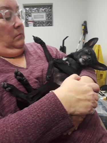 04:05:31 GMT-0500 (EST)