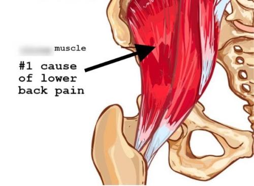 Simple 30-second morning ritual eliminates back pain