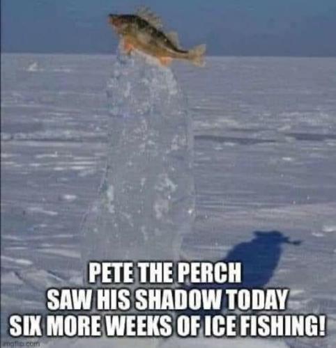 272984876_4973013192787082_2303885201298271307_n