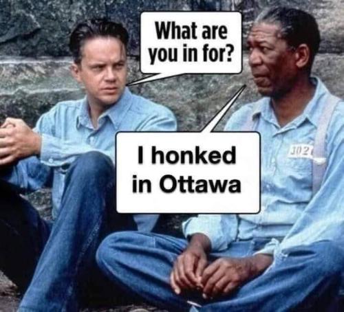 FB_IMG_1645554709833