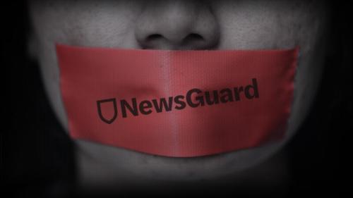 NewsGuard-MPN-image-4_edited