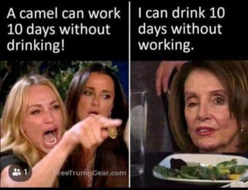 FB_IMG_1645261469808