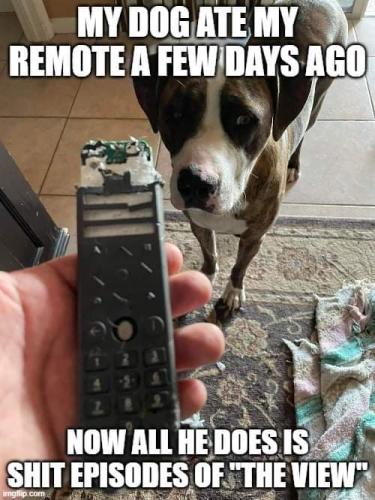 FB_IMG_1644328758747