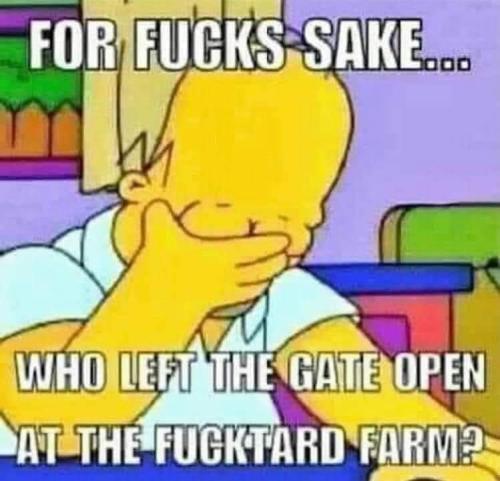FB_IMG_1644443506729