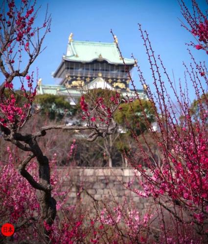 272939754_6961440213927638_6153989629516036017_n