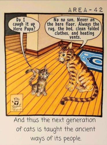 273049077_944615622857409_6118824988402265082_n