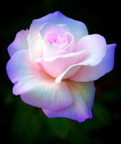 19:22:59 GMT-0600 (CST)