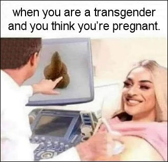 transgender141