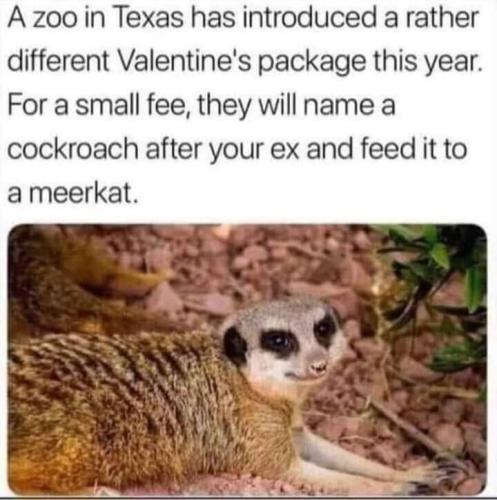 FB_IMG_1644607377900