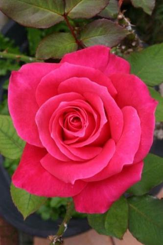 10:25:05 GMT-0600 (CST)