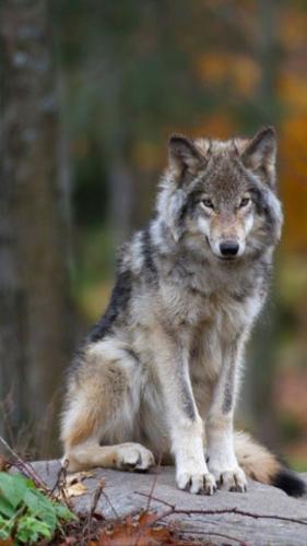 12:25:27 GMT-0600 (CST)