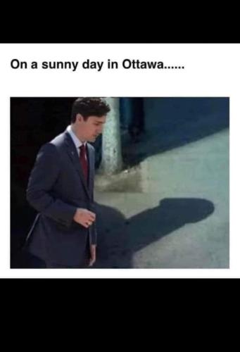FB_IMG_1644214244779