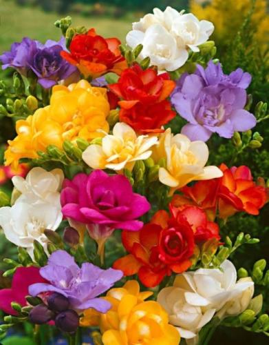 09:14:56 GMT-0600 (CST)